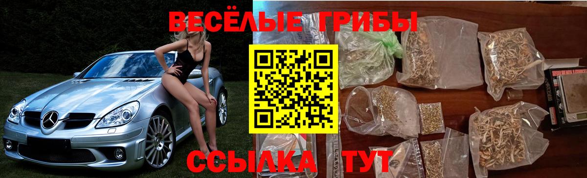 Галлюциногенные грибы ЛСД Шелехов