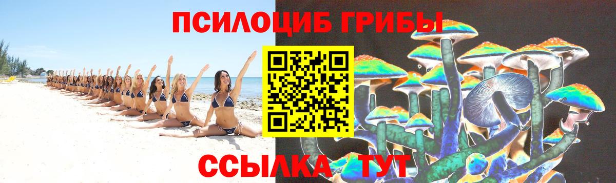 Псилоцибиновые грибы Cubensis  Вход с VPN  Галлюциногенные грибы MAGIC MUSHROOMS  Шелехов 